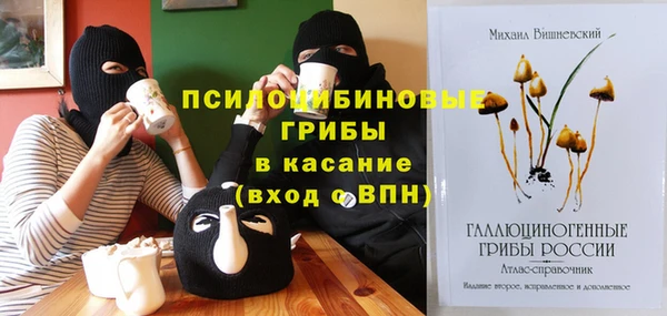 ECSTASY Бронницы